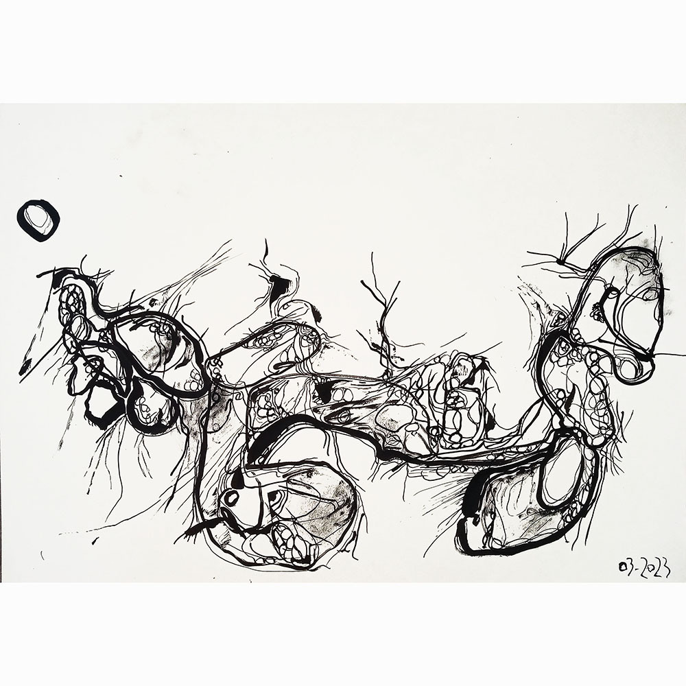 gallery/sharda_regalos 2015-01