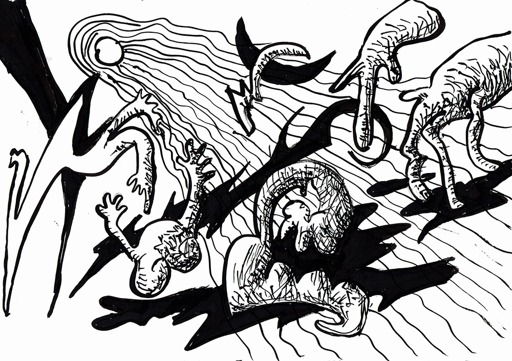 gallery/ciclo evolutivo3