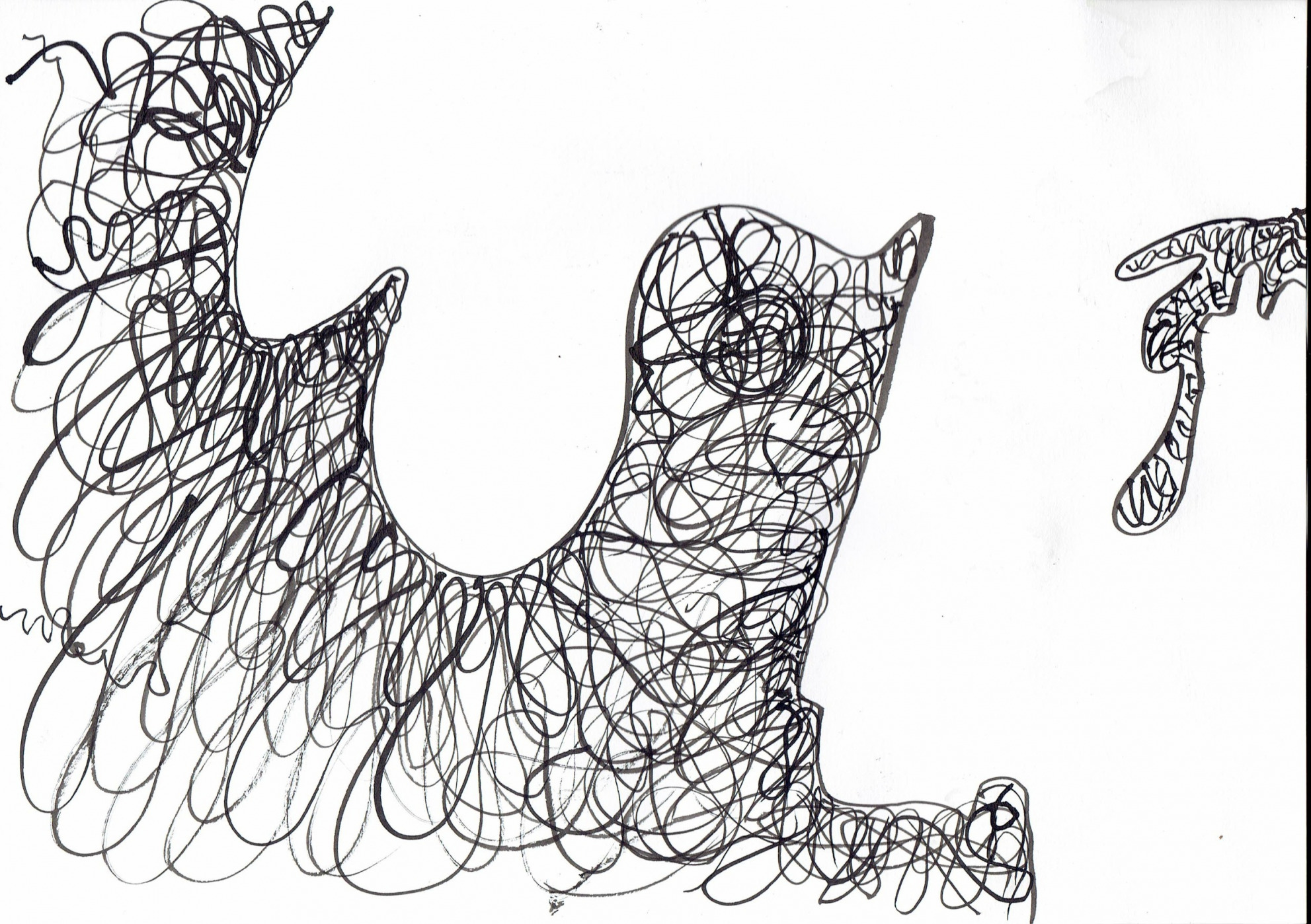 gallery/ciclo evolutivo4