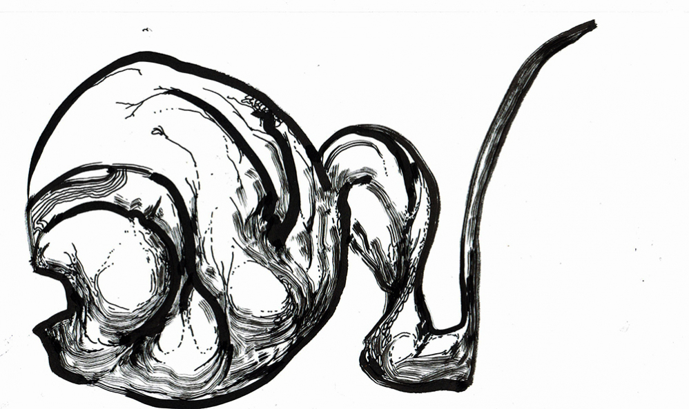 gallery/museo_inmigrante